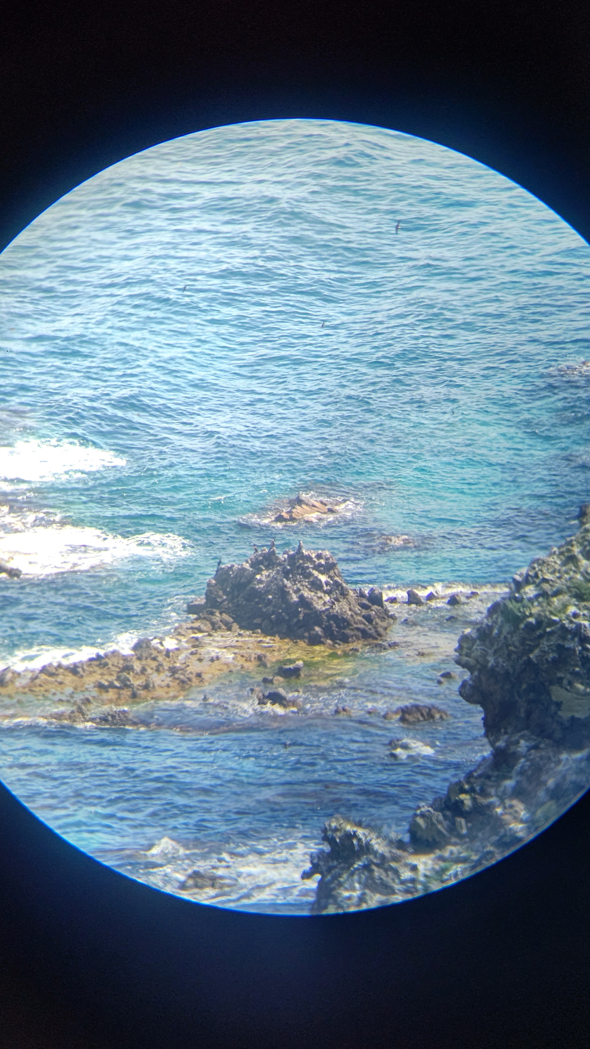 f:id:Tsubasaba:20210819065252j:image
