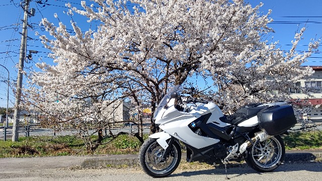 f:id:Tsubasaba:20220423202050j:image