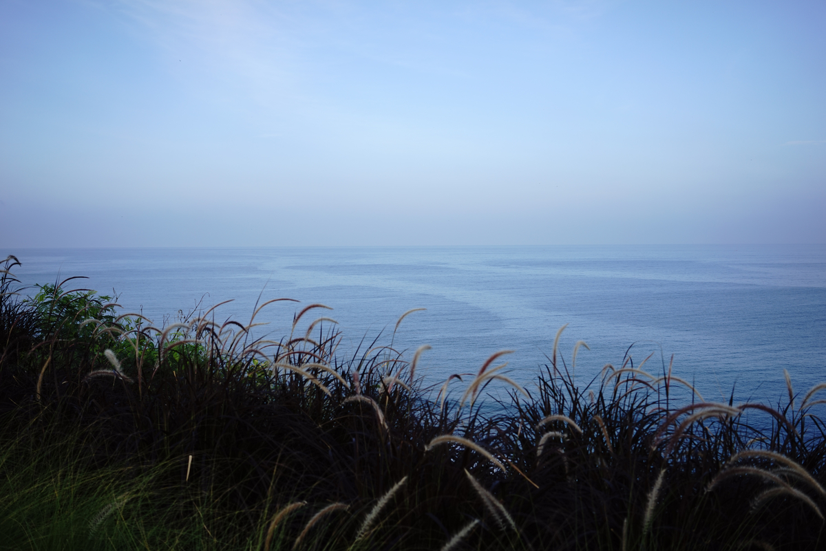 f:id:Tsukasado:20200611224518j:plain