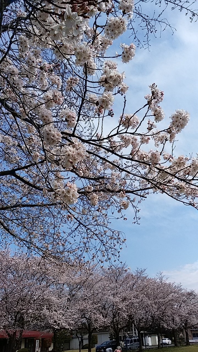 f:id:Tsumamikanzashi:20200411114002j:plain f:id:Tsumamikanzashi:20200411114002j:plain