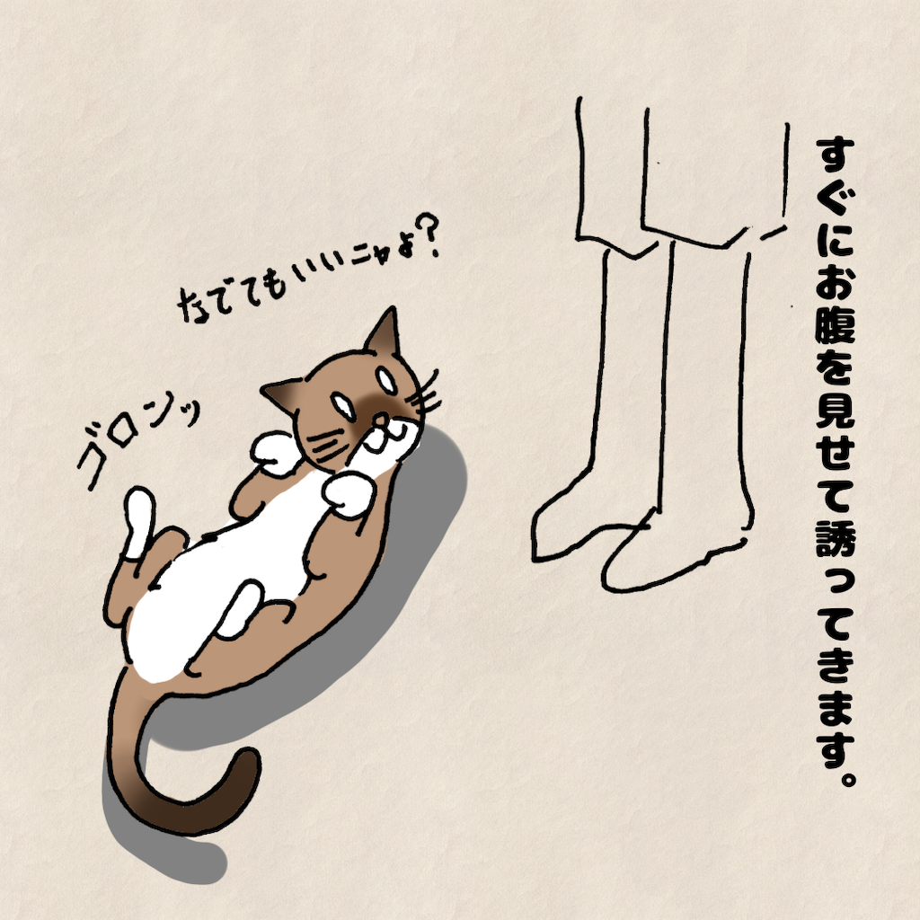 f:id:Tsunatsuna:20200828212518p:image