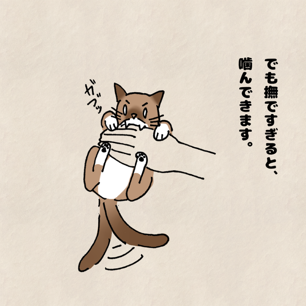 f:id:Tsunatsuna:20200828212530p:image