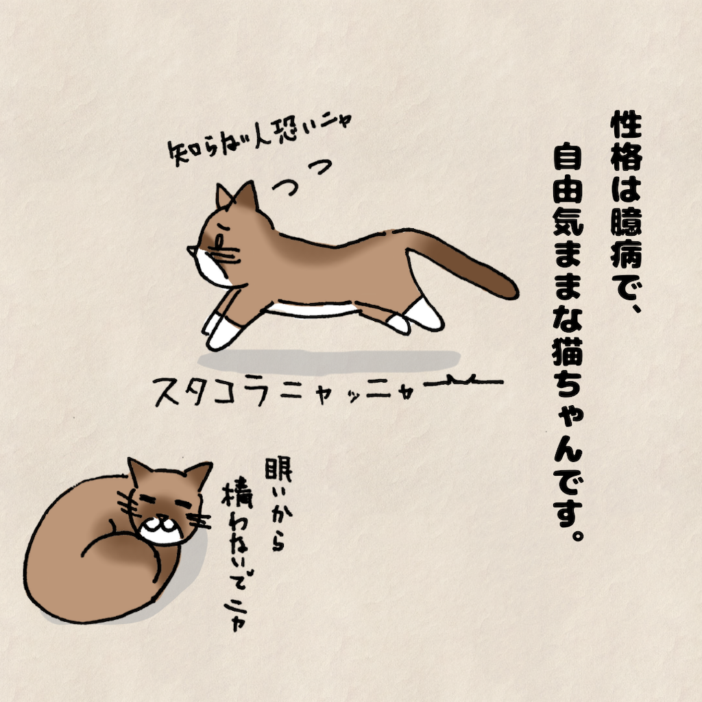 f:id:Tsunatsuna:20200828212543p:image