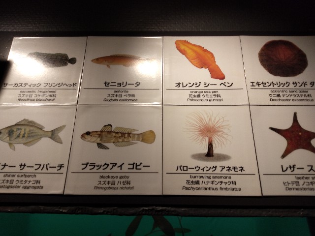 f:id:Tsuquba:20191105153716j:image f:id:Tsuquba:20191105153716j:image