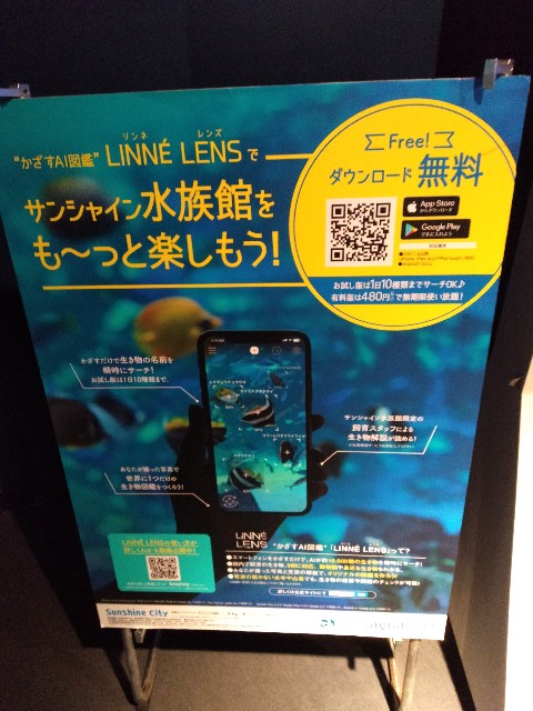 f:id:Tsuquba:20191224122826j:image