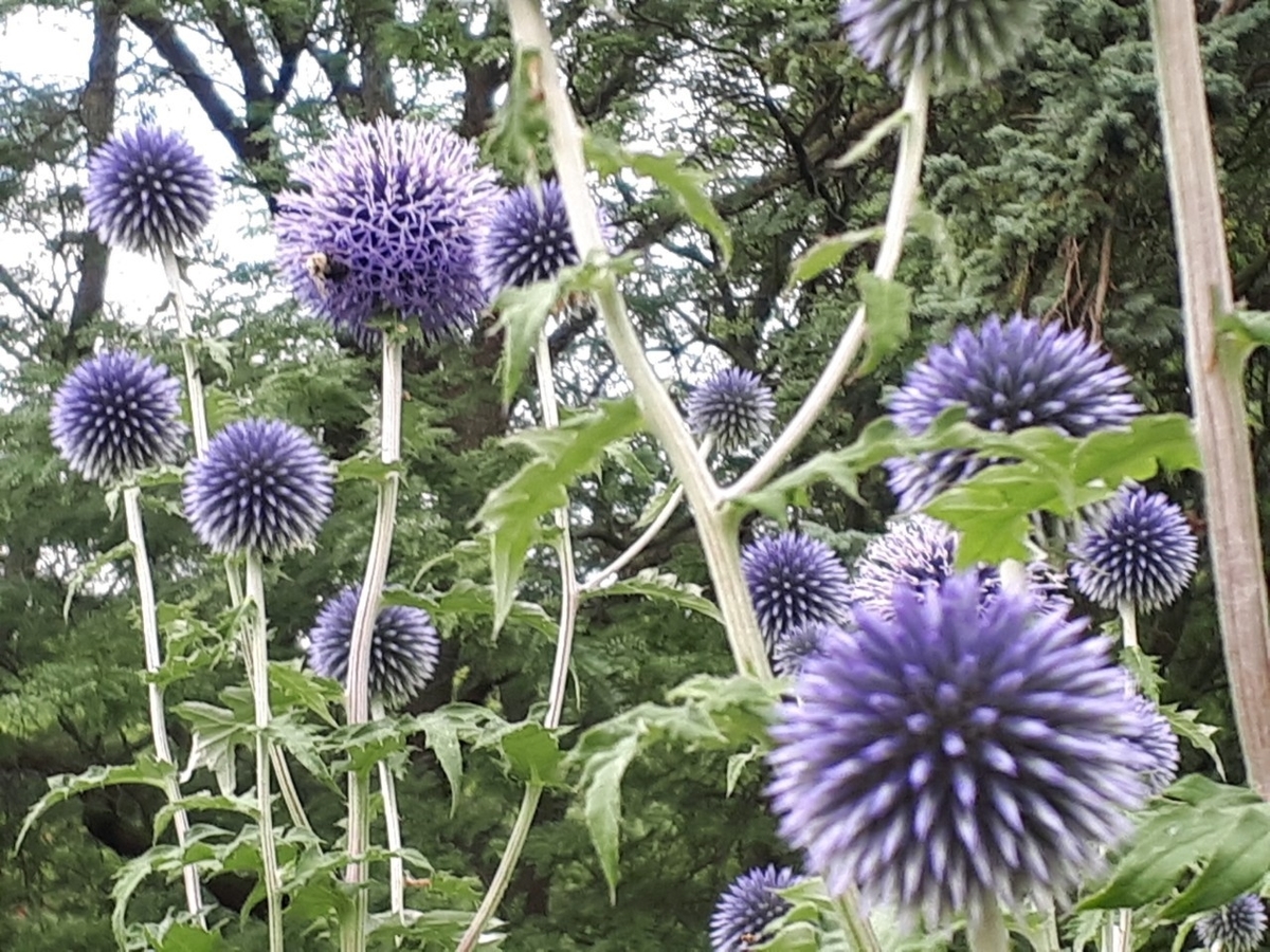f:id:Tsurezurekun:20190823011648j:plain f:id:Tsurezurekun:20190823011648j:plain