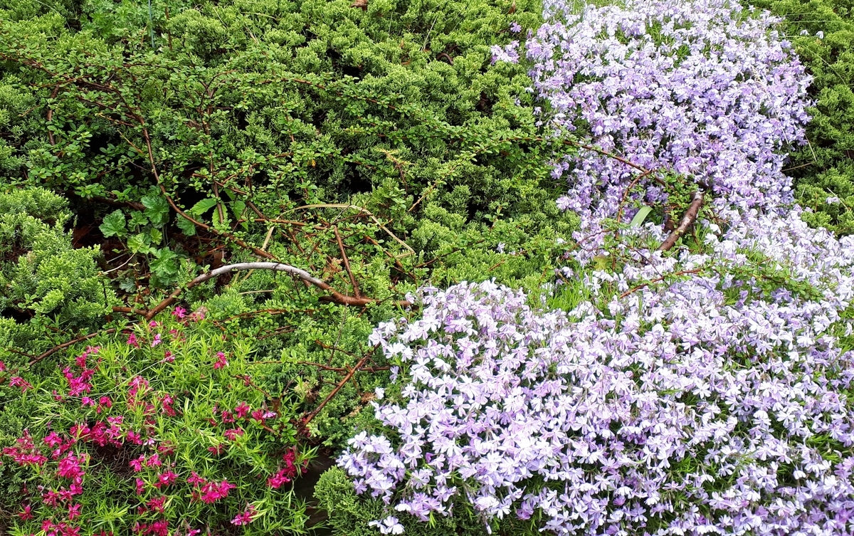 f:id:Tsurezurekun:20190823012507j:plain f:id:Tsurezurekun:20190823012507j:plain