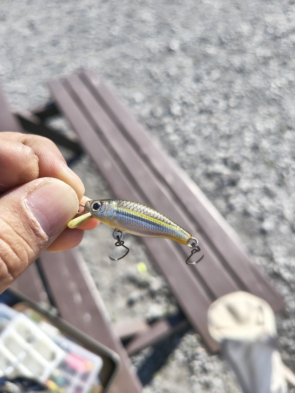 f:id:Tsuri-taro:20251205193128j:image