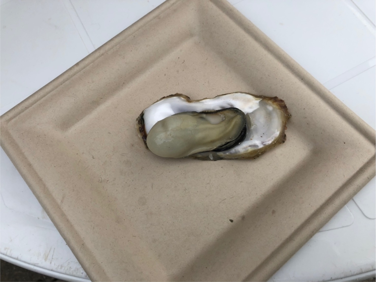 f:id:TsutayaP:20201217213919j:plain