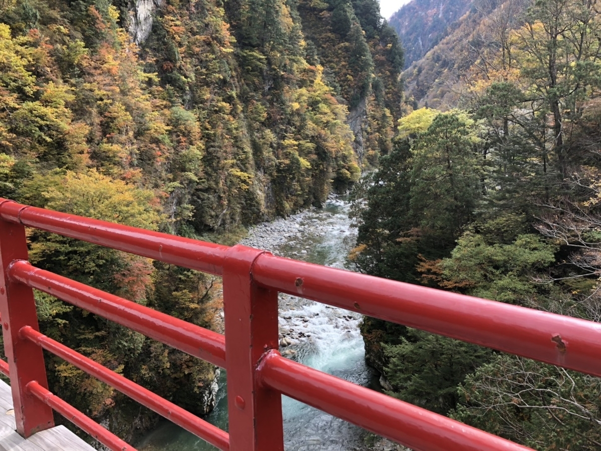 f:id:TsutayaP:20201219194327j:plain