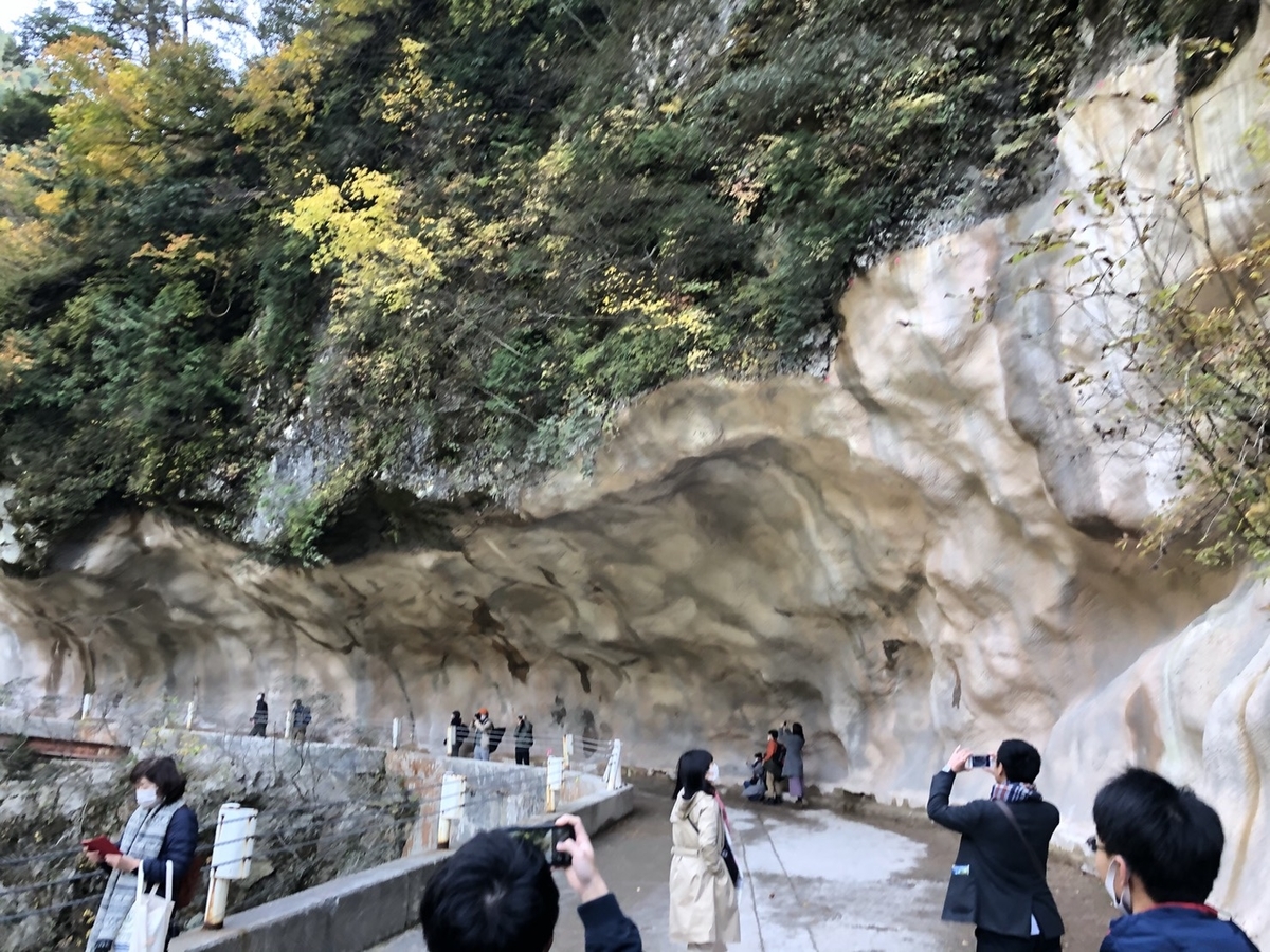 f:id:TsutayaP:20201219194411j:plain