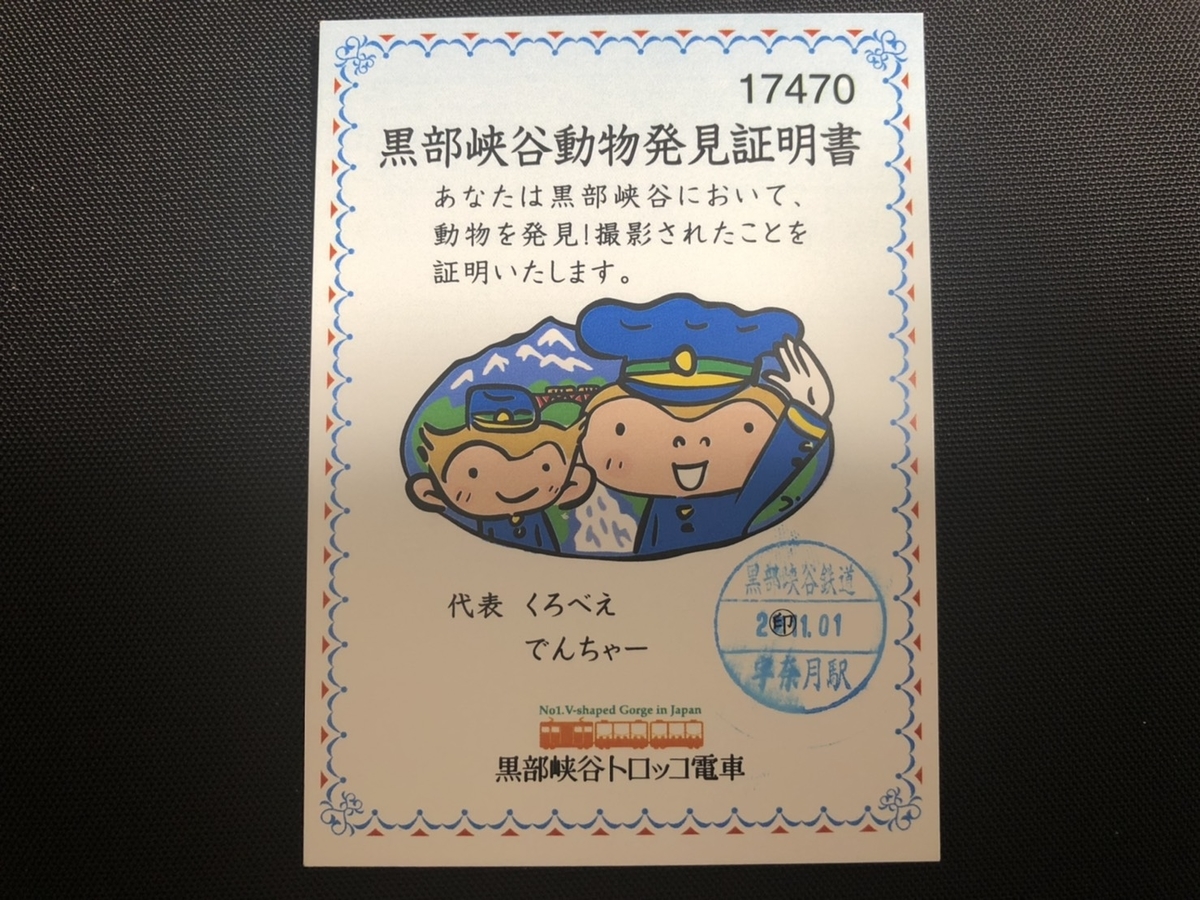 f:id:TsutayaP:20201219195046j:plain