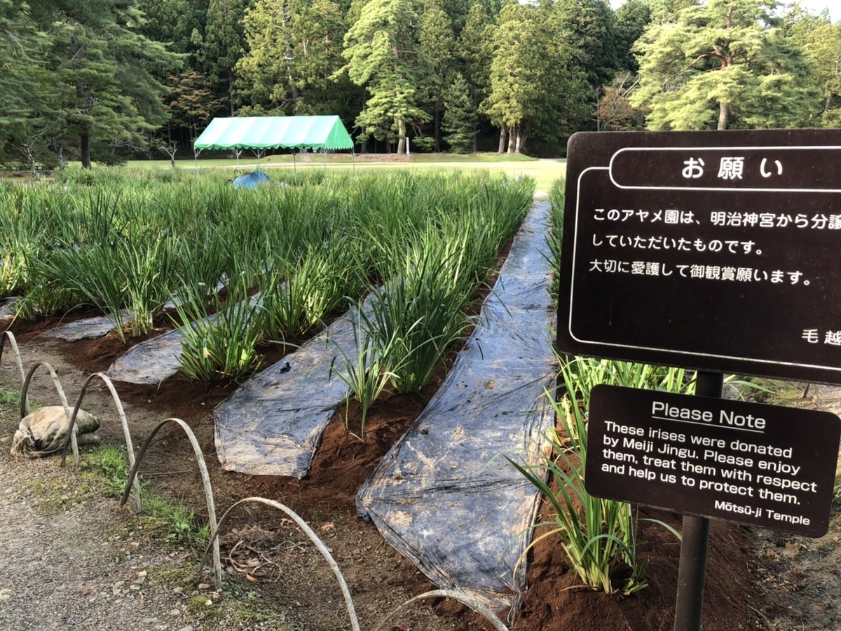 f:id:TsutayaP:20211020224619j:plain