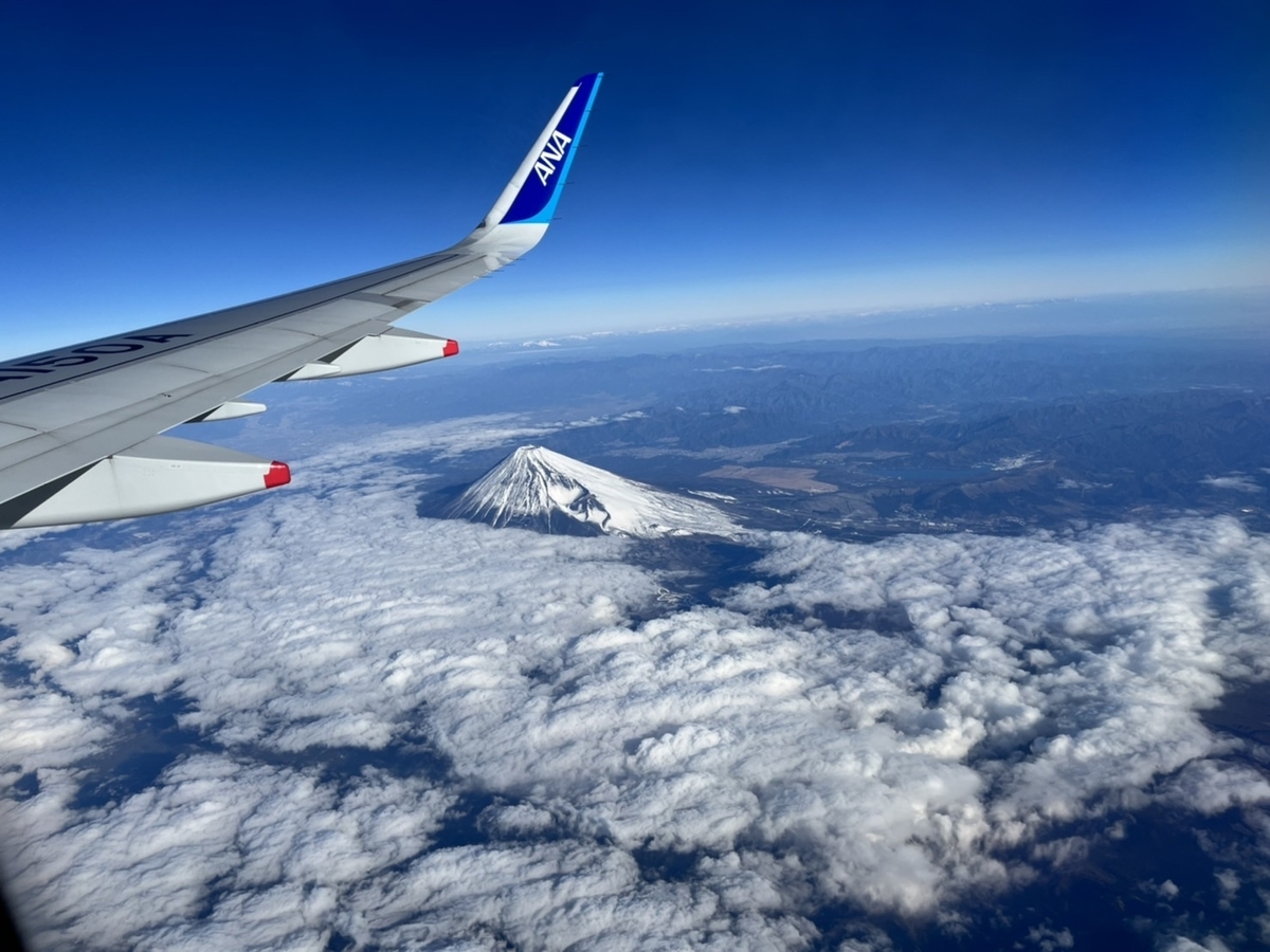 f:id:TsutayaP:20220129152718j:plain