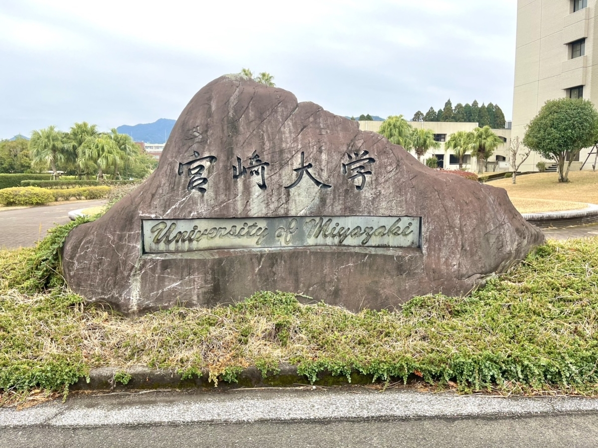 f:id:TsutayaP:20220129153103j:plain