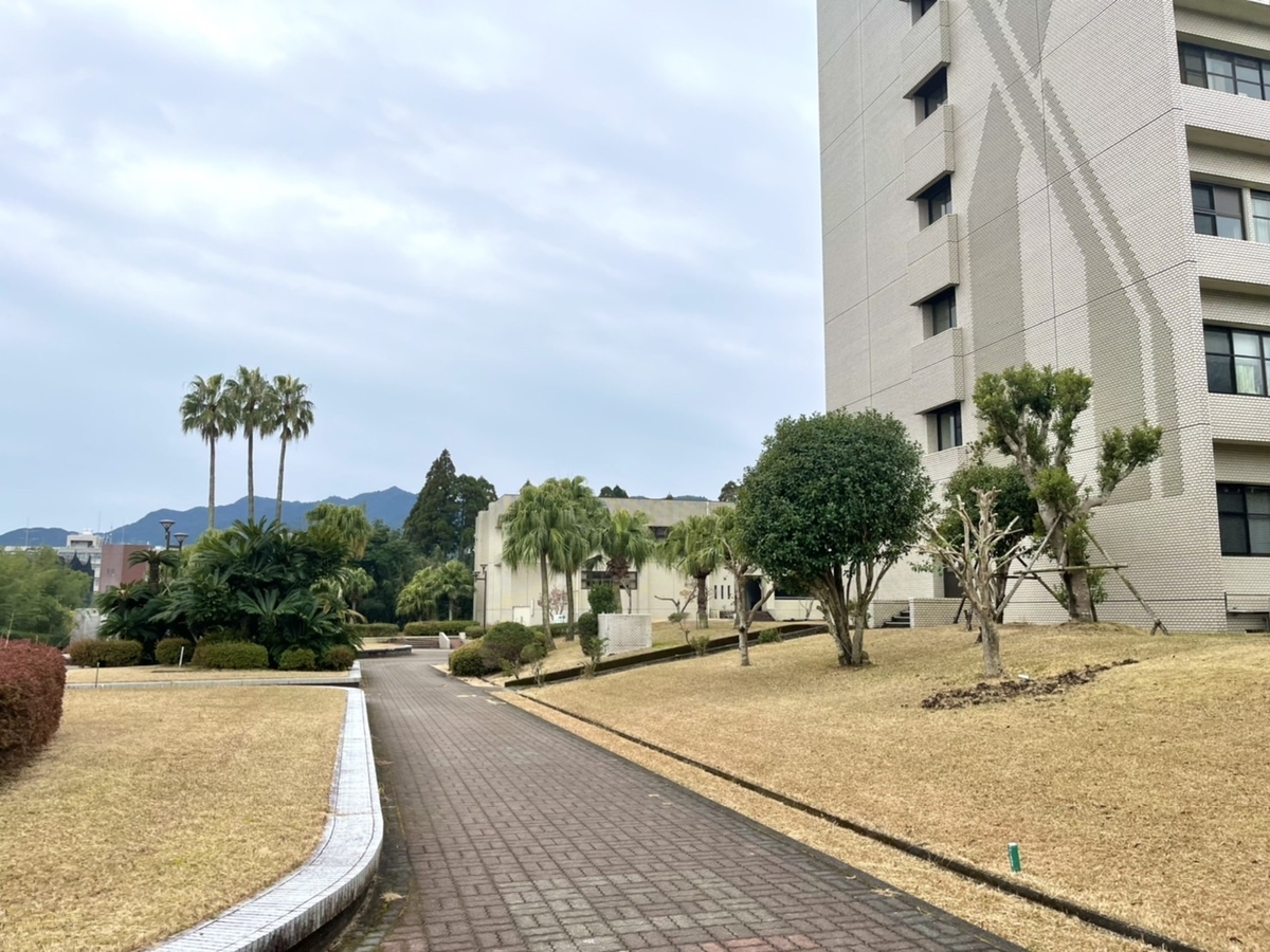 f:id:TsutayaP:20220129153121j:plain