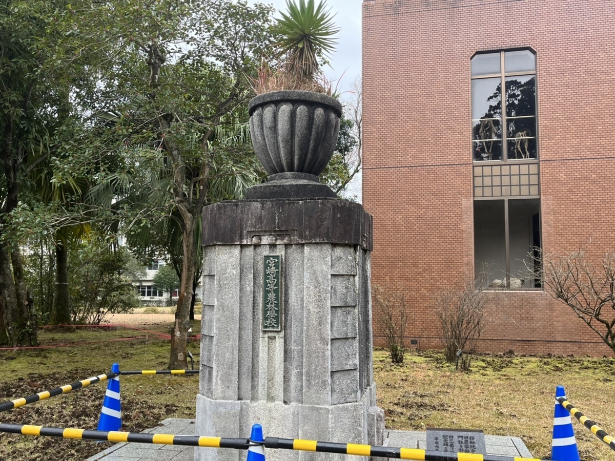 f:id:TsutayaP:20220129153226j:plain