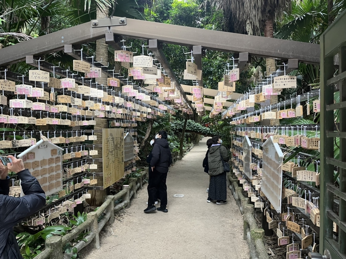 f:id:TsutayaP:20220129153621j:plain