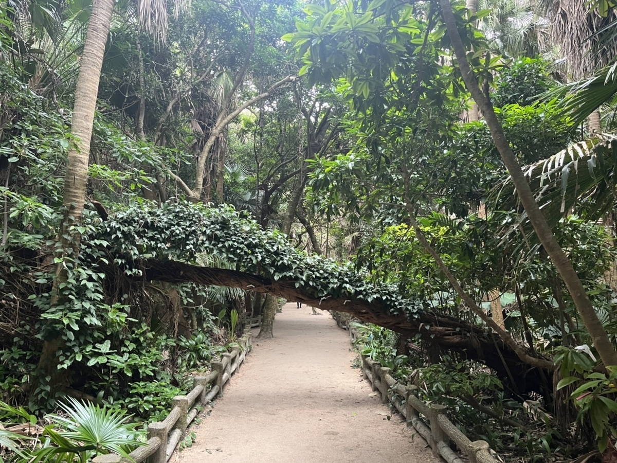 f:id:TsutayaP:20220129153727j:plain