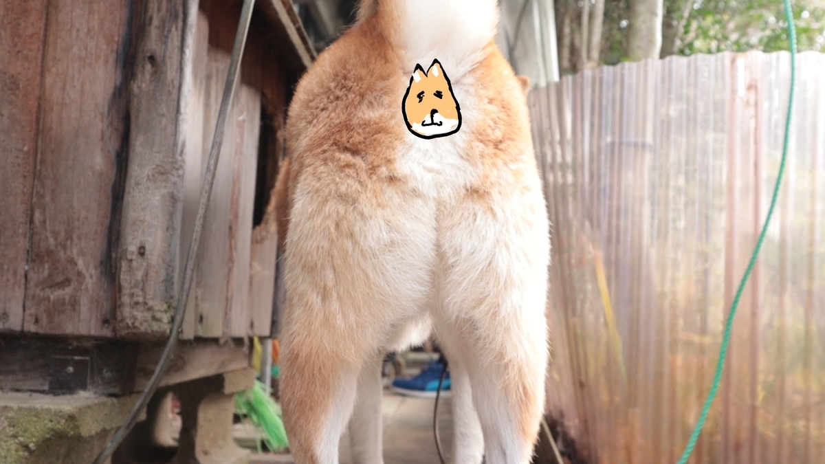 f:id:Ttea:20201215164805j:plain