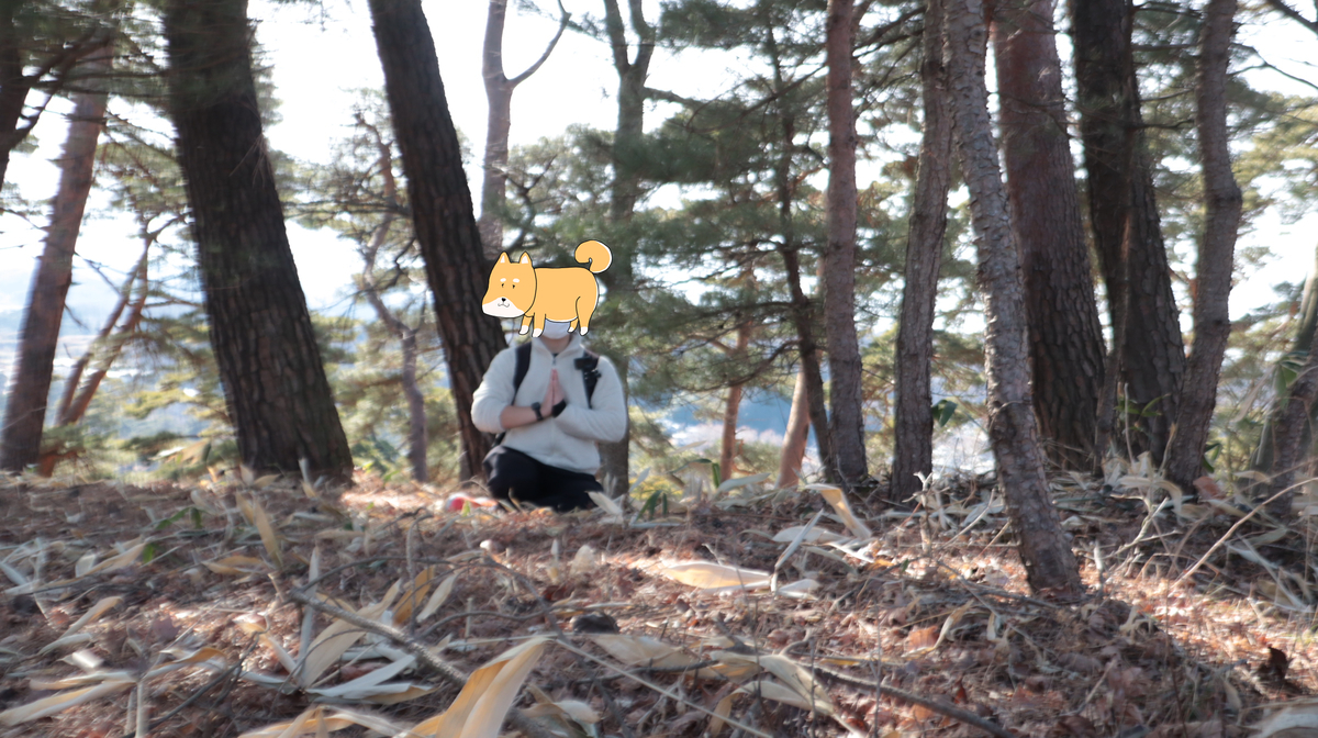 f:id:Ttea:20210214133613j:plain