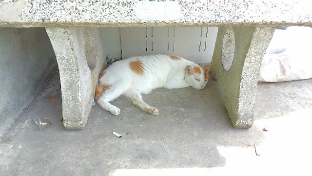 f:id:TuAki:20190525072545j:plain