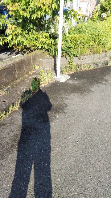 f:id:TuAki:20200702103554j:plain f:id:TuAki:20200702103554j:plain