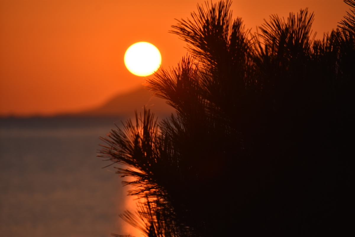 f:id:TuAki:20201023143541j:plain