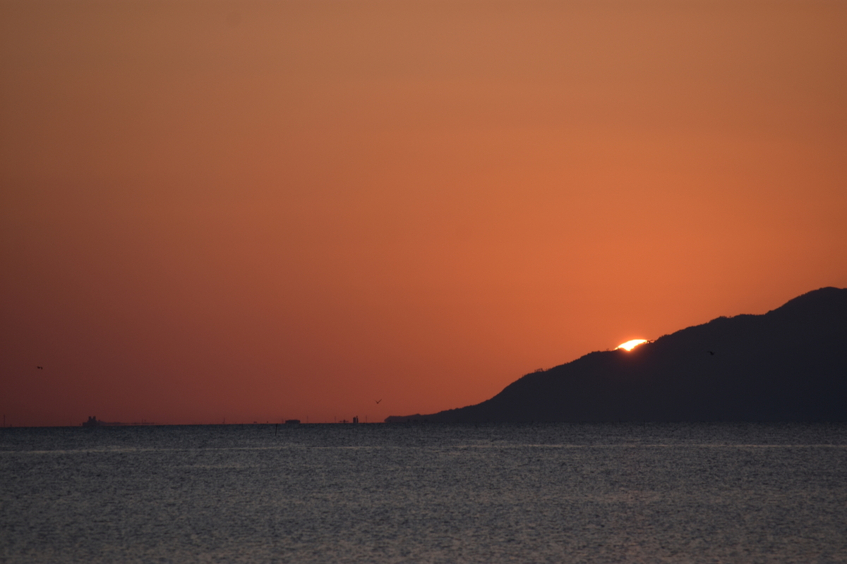 f:id:TuAki:20201023143626j:plain