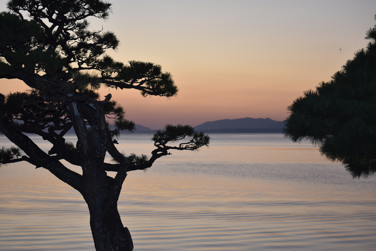 f:id:TuAki:20201023143739j:plain