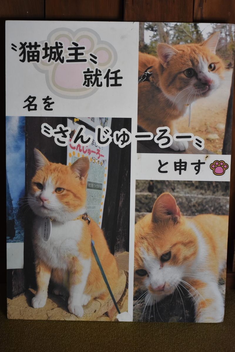 f:id:TuAki:20201023145750j:plain f:id:TuAki:20201023145750j:plain