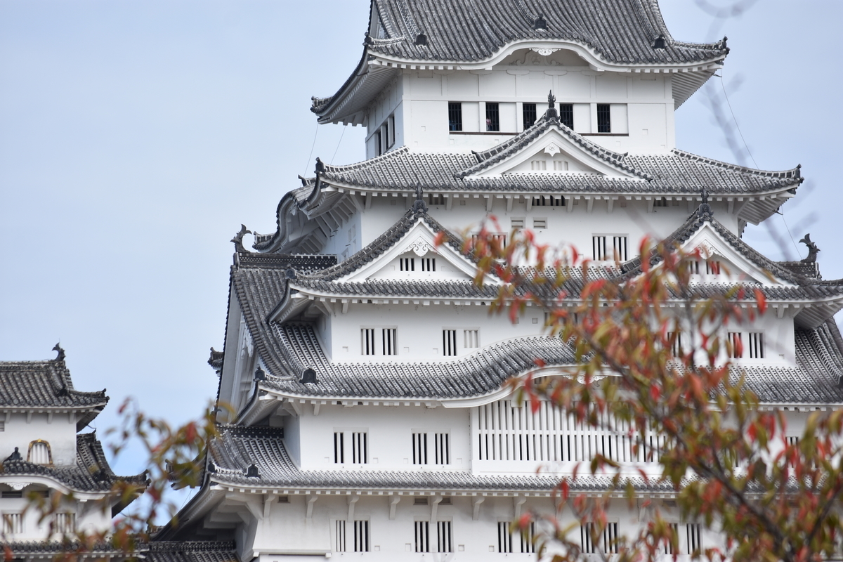 f:id:TuAki:20201024162147j:plain f:id:TuAki:20201024162147j:plain