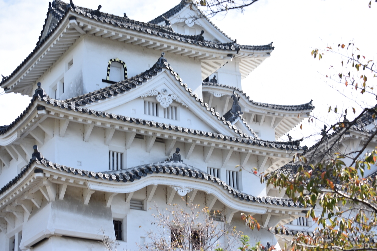 f:id:TuAki:20201024162332j:plain f:id:TuAki:20201024162332j:plain