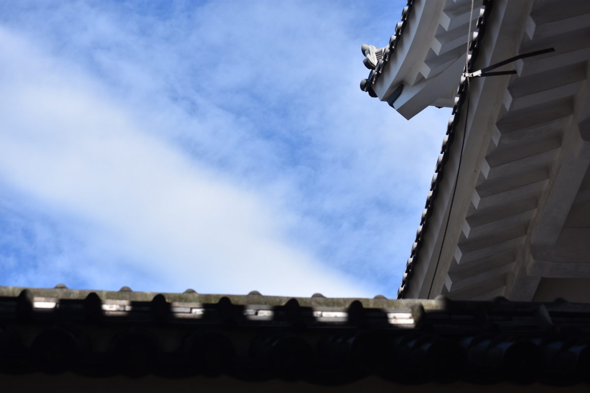 f:id:TuAki:20201024162423j:plain f:id:TuAki:20201024162423j:plain