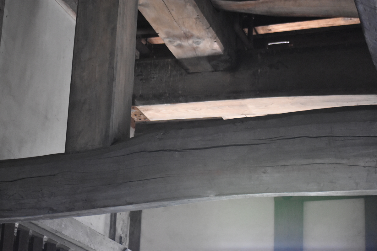 f:id:TuAki:20201024162554j:plain f:id:TuAki:20201024162554j:plain