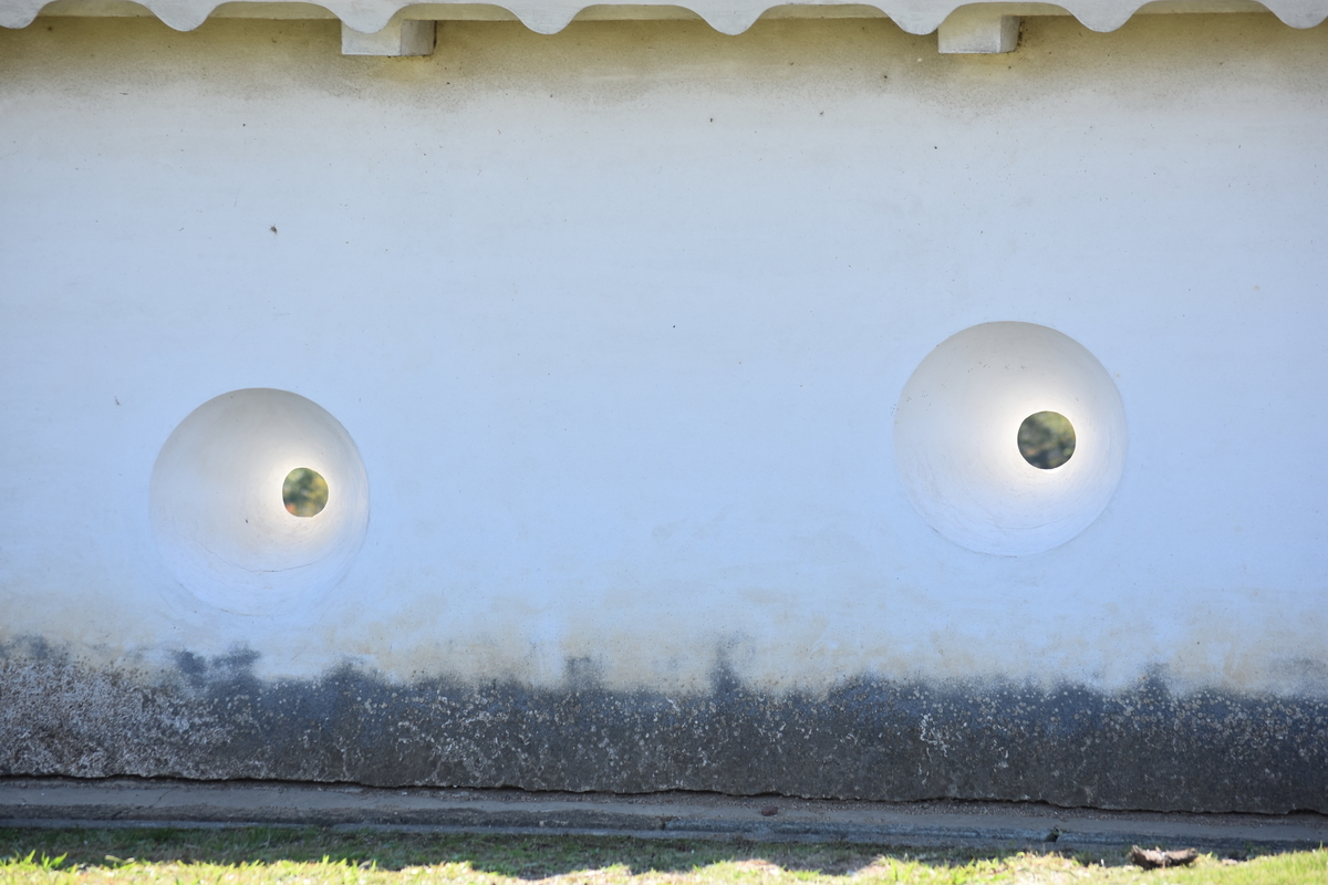 f:id:TuAki:20201024162806j:plain f:id:TuAki:20201024162806j:plain