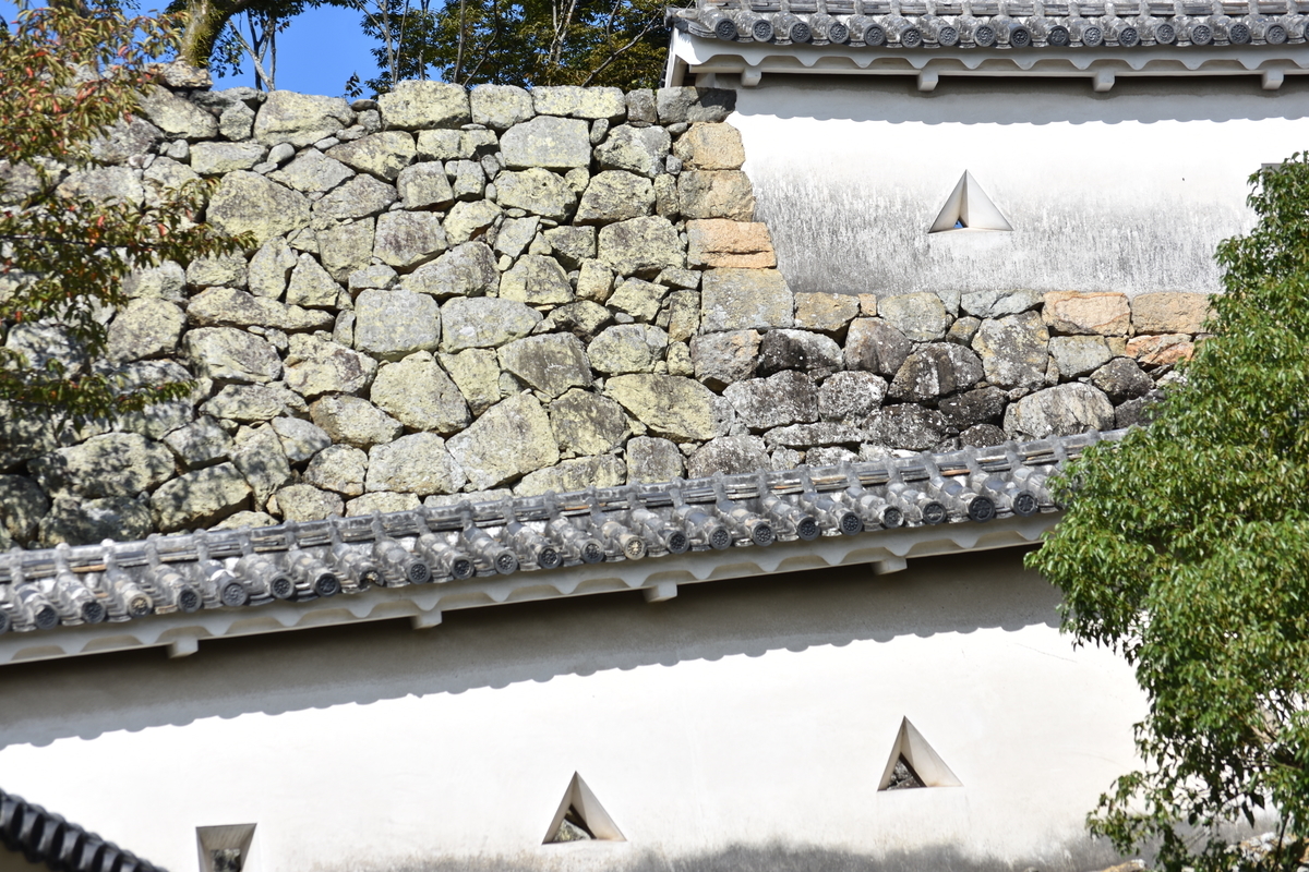 f:id:TuAki:20201024162833j:plain f:id:TuAki:20201024162833j:plain