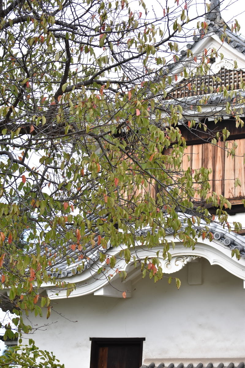 f:id:TuAki:20201024193348j:plain