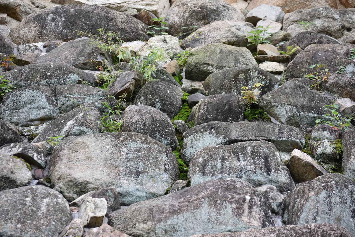 f:id:TuAki:20201024194153j:plain