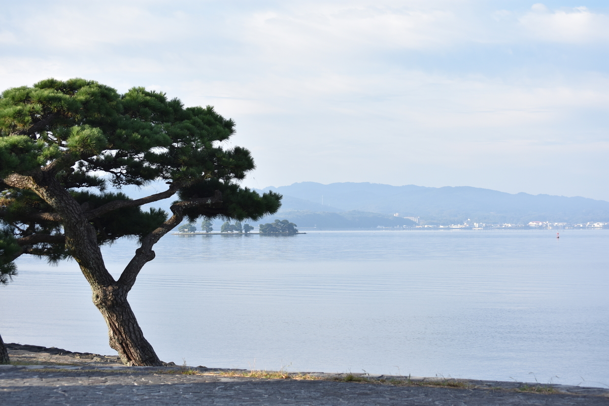 f:id:TuAki:20201101115052j:plain