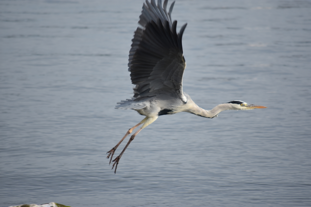 f:id:TuAki:20201101123516j:plain