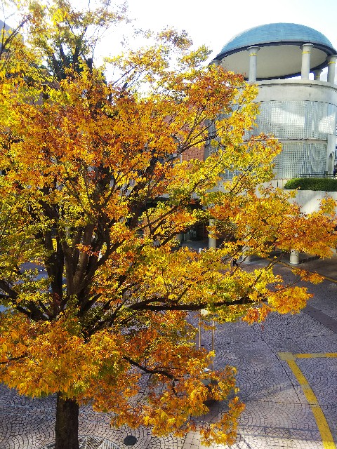 f:id:TuAki:20201102094800j:plain