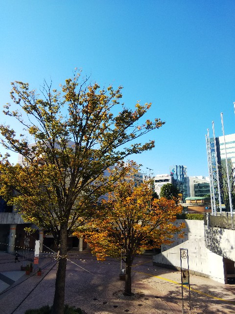 f:id:TuAki:20201102094829j:plain