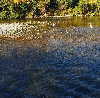 f:id:TuAki:20201115160115j:plain