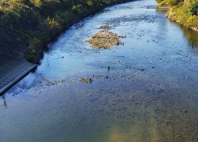 f:id:TuAki:20201115160129j:plain