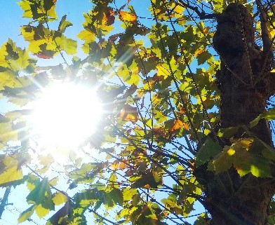 f:id:TuAki:20201121112850j:plain