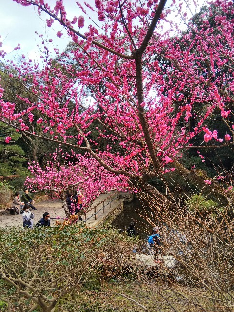 f:id:TuAki:20210227164206j:plain