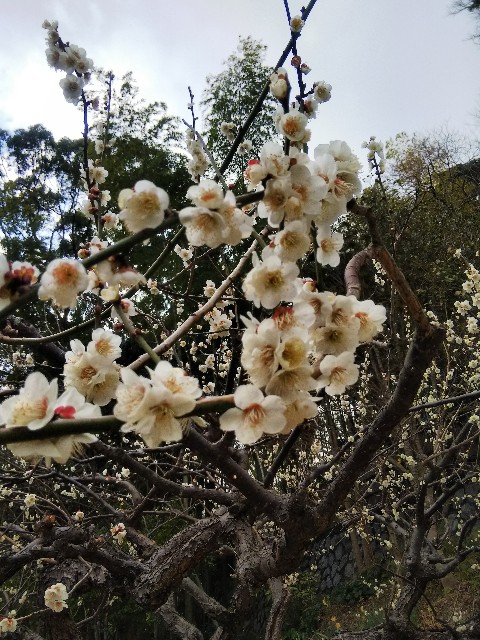 f:id:TuAki:20210227164236j:plain