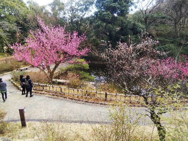 f:id:TuAki:20210227164424j:plain