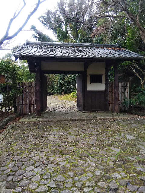 f:id:TuAki:20210227164449j:plain